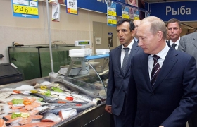 Импортозамещение в России – ответ на санкции европейских стран